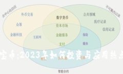 虚拟睿宝币：2023年如何投