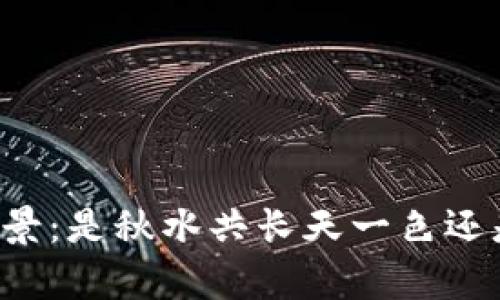 虚拟币未来前景：是秋水共长天一色还是浮云游子意？