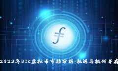 2023年BIC虚拟币市场分析：