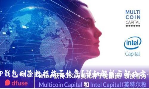 TP钱包删除数据能否恢复？详细解析与解决方案