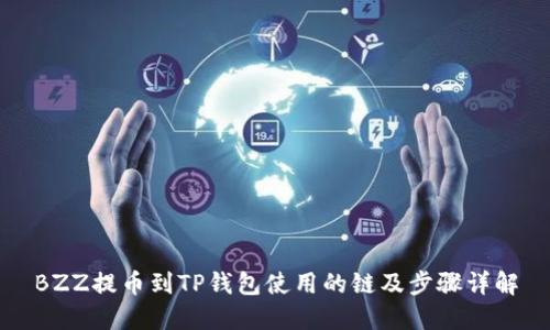 BZZ提币到TP钱包使用的链及步骤详解
