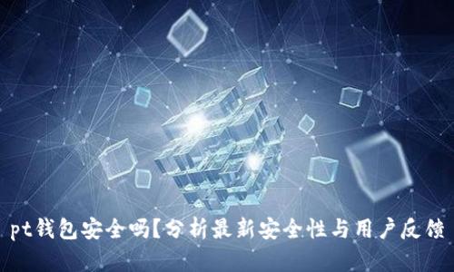 pt钱包安全吗？分析最新安全性与用户反馈