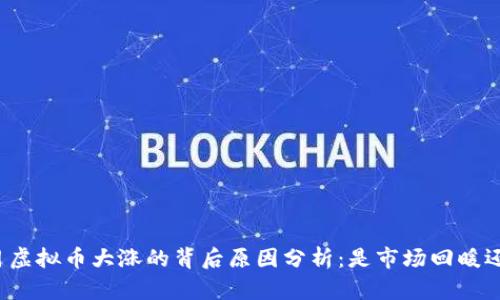 : 2023年5月虚拟币大涨的背后原因分析：是市场回暖还是政策利好？