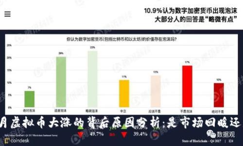 : 2023年5月虚拟币大涨的背后原因分析：是市场回暖还是政策利好？