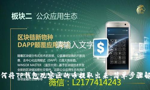如何将TP钱包观察区的币提取出来：简单步骤解析