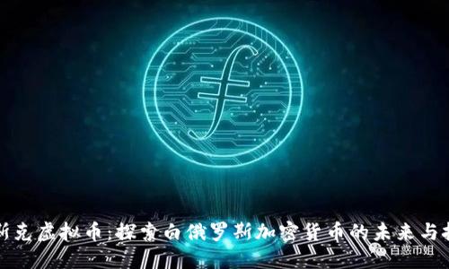 明斯克虚拟币：探索白俄罗斯加密货币的未来与挑战