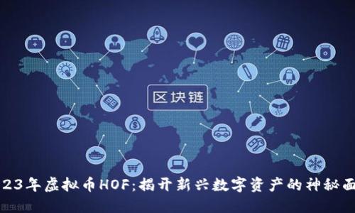 2023年虚拟币HOF：揭开新兴数字资产的神秘面纱