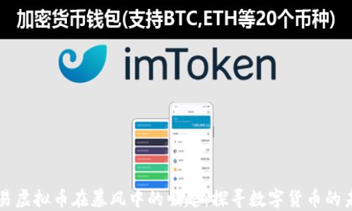 
网易虚拟币在暴风中的崛起：探寻数字货币的未来