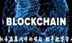 网易虚拟币在暴风中的崛