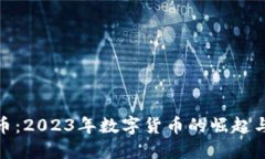 加纳虚拟币：2023年数字货
