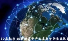 BSD虚拟币：把握数字资产
