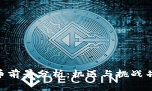 2023年Zepe虚拟币前景分析：机遇与挑战并存的数字货币之旅