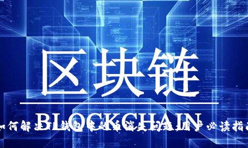如何解决TP钱包中的币消失问题：用户必读指南