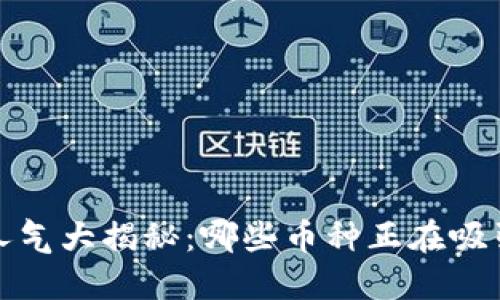 2023年虚拟币人气大揭秘：哪些币种正在吸引投资者的目光？