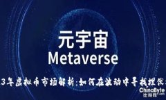 2023年虚拟币市场解析：如