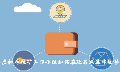 浙江虚拟币挖矿工作小组如何在政策风暴中逆势而生