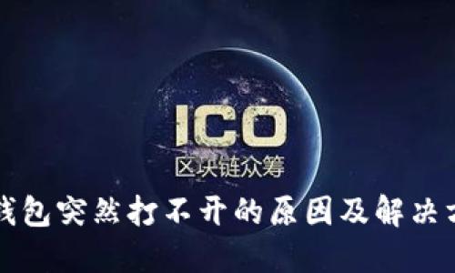 TP钱包突然打不开的原因及解决方法