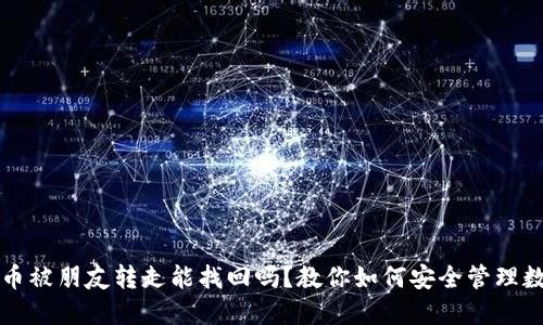 TP钱包币被朋友转走能找回吗？教你如何安全管理数字资产
