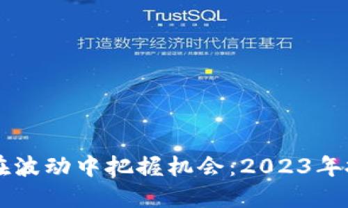 虚拟币投资如何在波动中把握机会：2023年投资者的策略指南