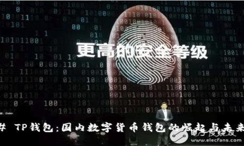 ### TP钱包：国内数字货币钱包的崛起与未来展望