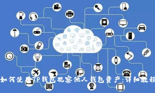 如何使用TP钱包观察他人钱包资产：详细教程