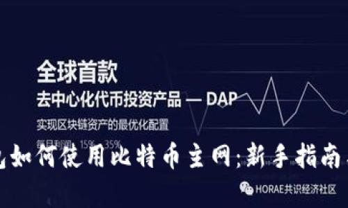 TP钱包如何使用比特币主网：新手指南与解析