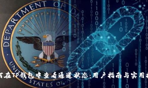 如何在TP钱包中查看通道状态：用户指南与实用技巧