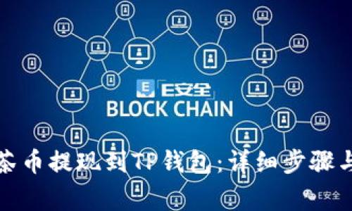 如何将抹茶币提现到TP钱包：详细步骤与注意事项