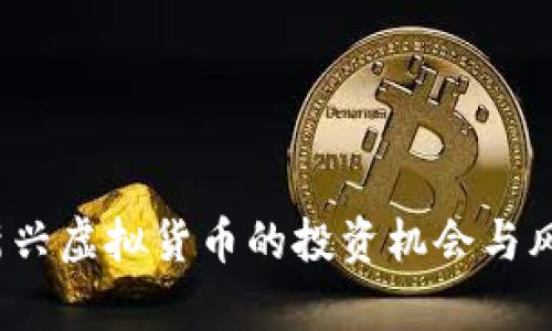 飞币：新兴虚拟货币的投资机会与风险剖析