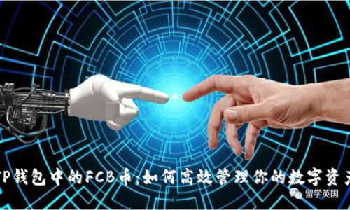TP钱包中的FCB币：如何高效管理你的数字资产