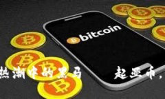 2023年虚拟货币热潮中的黑