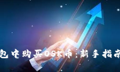 如何在TP钱包中购买OSK币：新手指南与注意事项