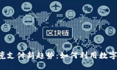 2024年虚拟币跨境支付新趋