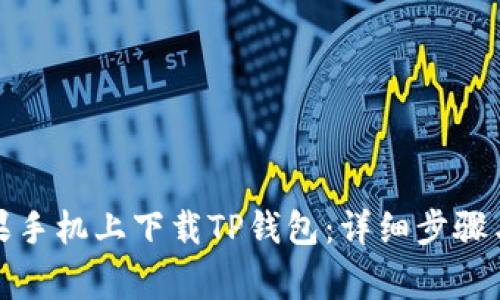 如何在苹果手机上下载TP钱包：详细步骤与注意事项