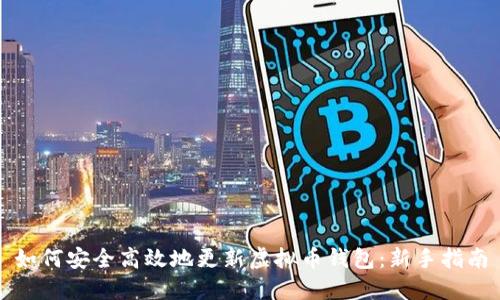如何安全高效地更新虚拟币钱包：新手指南