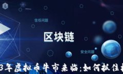 2023年虚拟币牛市来临：如