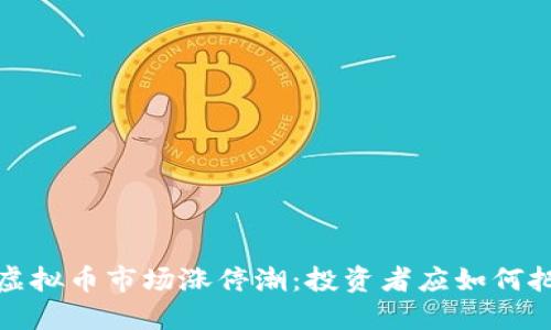 2023年虚拟币市场涨停潮：投资者应如何把握机遇？