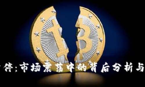 虚拟币暂停：市场震荡中的背后分析与未来展望