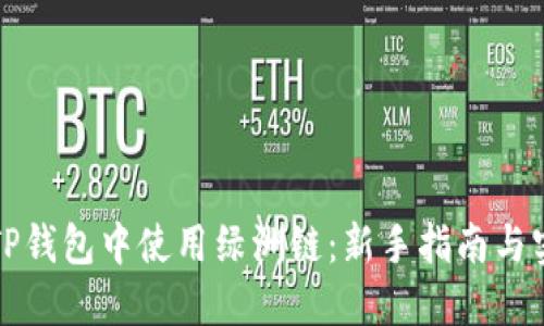 如何在TP钱包中使用绿洲链：新手指南与实用技巧