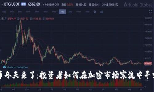 虚拟币冬天来了：投资者如何在加密市场寒流中寻求生存