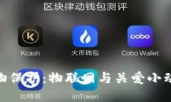 数字时代的宠物保护：物