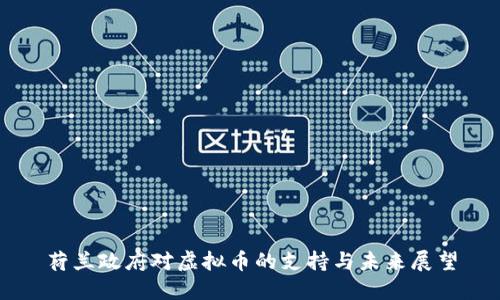 荷兰政府对虚拟币的支持与未来展望
