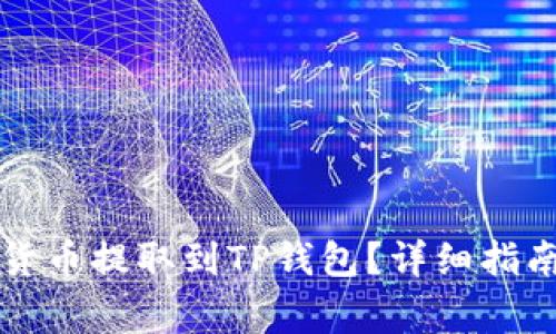 怎样将数字货币提取到TP钱包？详细指南与注意事项