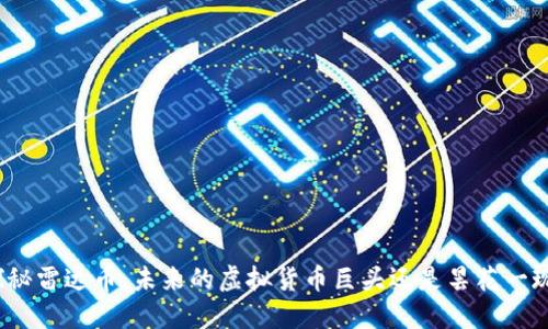 探秘雷达币：未来的虚拟货币巨头还是昙花一现？