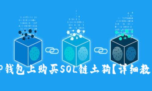 如何在TP钱包上购买SOL链土狗？详细教程与技巧