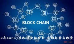 2023年Sunny虚拟币价格分析