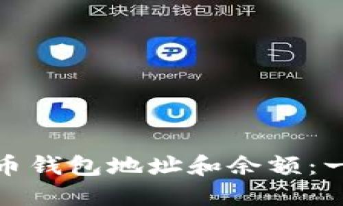 如何快速查询虚拟币钱包地址和余额：一步步教你轻松掌握