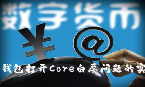 解决TP钱包打开Core白屏问题的实用指南