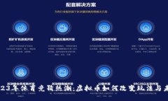 2023年体育竞猜热潮：虚拟