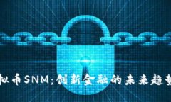 深入了解虚拟币SNM：创新